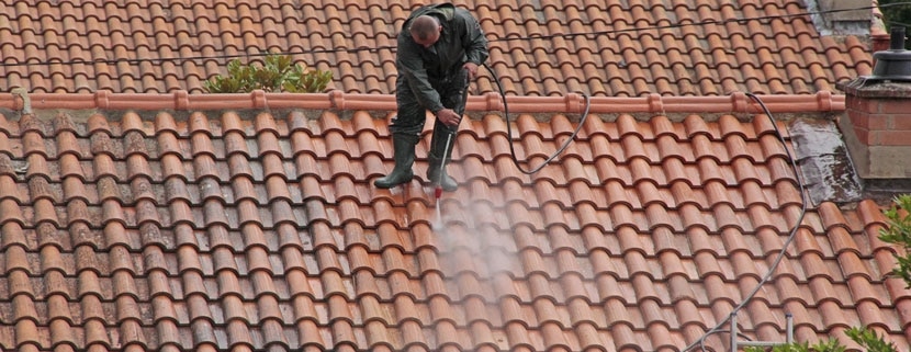 Produit anti mousse pour toiture